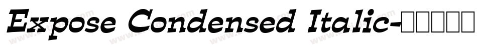 Expose Condensed Italic字体转换